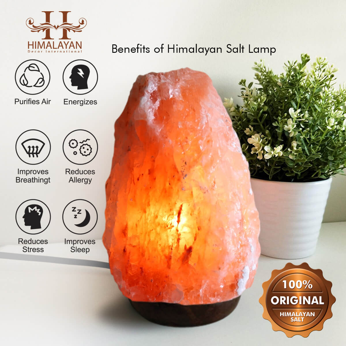 Extra Large Himalayan Electric Salt Lamp Crystal Light Natural Ionizer Pink Lamp