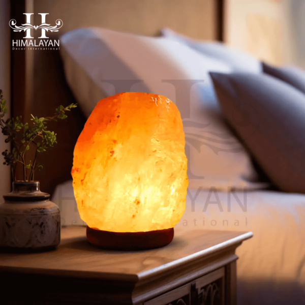 Himalayan Salt Lamps Air Purification and Wellness