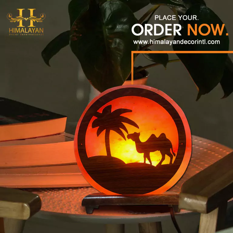 Himalayan Salt Lamps With 3D Print (Camel Style)