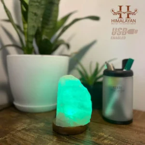 usb-bann